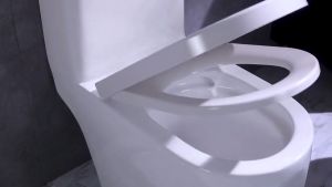 Hình chữ V Nắp bồn cầu nhựa Nhựa Trắng lắp bồn vệ sinh chất liệu nhựa bền chắc dễ lắp đặtRơi Êm Cao Cấp Phù Hợp hầu hết các loại bồn cầu Bộ nắp bàn cầu nhà vệ sinh bằng nhựa cao cấp