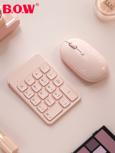 B.O.W | Financial Accounting Numeric Wireless & USB Keypad