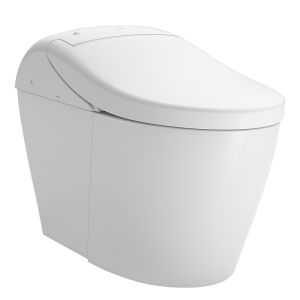 Intelligent Toilet with Automatic Flushing and Lid Opening