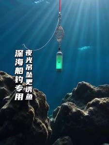 tzdhn | Eco-friendly Glowing Lead Weights For Ocean Fishing Anti-fouling