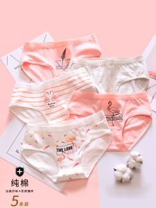 Pure Cotton Triangle Womens Underwear Breathable mid Waist School Girls Briefs Comfortable Japanese Style Home Clothes