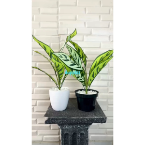 Tanaman Hias Pohon Artificial Callathea X9 Semilatex Pot Melamine & Pot Dasar Hitam Dekorasi Meja Pajangan Hambalan Rumah