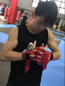 Professional Boxing Gloves for adults/child 10oz MMA Boxing gloves