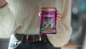 1 THÙNG 28 GÓI-PATE WHISKAS CHO MÈO CON VÀ MÈO LỚN - GÓI 80GRAM