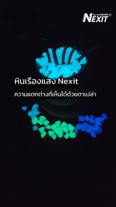 หินเรืองแสง Nexit [สว่าง x10] กันน้ำ สีเขียว สีฟ้า สีน้ำเงิน (เลือกน้ำหนักได้) หินตู้ปลา หินแต่งสวน สวนถาด สวนขวด พื้นทรายล้าง