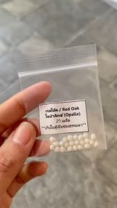 เมล็ดพันธุ๊ผักสลัด แบบเมล็ดเคลือบ ENZA ZADEN อัตราการงอก 99% แบ่งบรรจุ 20/100