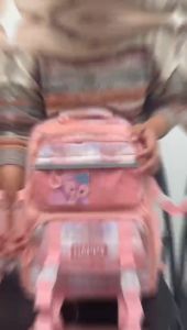 Tas Ransel Sekolah Anak Perempuan Tas Sekolah Tas Ransel Anak Tas Anak Tas Sekolah Anak Tas Anak SD Tas Anak Waterproof Polyester Tas Sekolah Anak Dengan Pilihan Warna - Lazada