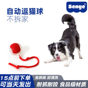 Automatic Bite Resistant Cat Toy Ball Pet Supplies Fun Jumping Ball with Rope Interactive Toys for Cats Odorless Self Entertaining