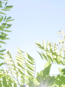 Cartoon 35ML  Facial Humidifier Face Nano Mist Sprayer Make Up Skin Moisturizing Hydration  Face Steamer USB