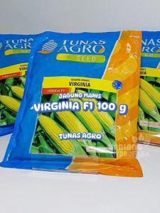 Benih Jagung Manis Virginia 250 gram Tunas Agro dataran menengah unggul bibit biji pertiwi hydroponik hidroponik