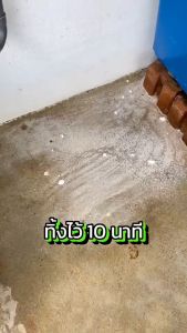 📍1 แถม1📍ผงกำจัดตะไคร่น้ำ สำหรับพื้นบ้าน ใช้ง่ายแค่เทแล้วล้างออก ไม่เปลืองแรงขัด คราบฝังลึก สำหรับพื้นปูน