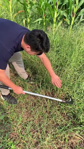 Pemangkas Sabit kapak Ganda Pemangkas Rumput Multifungsi 6722