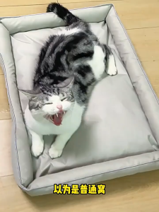 SKISOPGO 600D Oxford Cloth Pet Bed Wear-resistant Cat Bed Dog Bed Non-Stick Fur Anti-slip Tilam Kucing 狗窝
