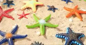 Diving Pool Toys Colorful Starfish Underwater Pool Toys Soft Rubber Dive Throw for Kids Summer Swimming Pool Party Favors
