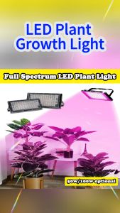 Plant Fill Lights Imitates The Full Spectrum Growth Light For Fruits Vegetables In Green Greenhouse