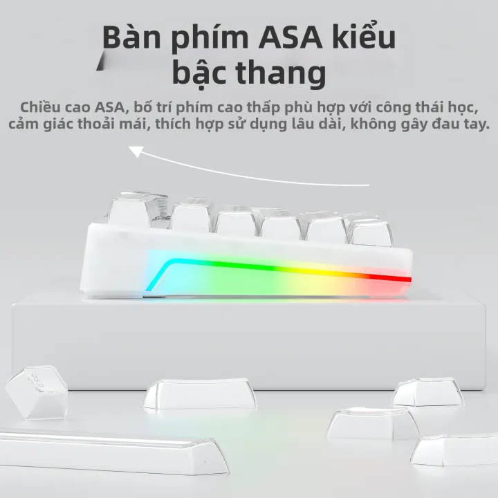 AULA | Nút Bấm Phím Đôi Màu Trong Suốt | BigBuy360 - bigbuy360.vn AULA | Nút Bấm Phím Đôi Màu Trong Suốt | BigBuy360 - bigbuy360.vn
