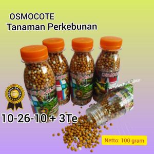 pupuk osmocote 10-26-10 pupuk import netherland pupuk perkebunan pupuk sr pupuk dekastar pupuk slow release osmocote dekastar pupuk kelapa sawit pupuk kakao pupuk kopi pupuk lada pupuk pala pupuk pupuk kelapa pupuk agroblend