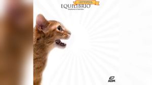 Equilibrio Adult Cat Makanan Kucing Dewasa 1.5kg