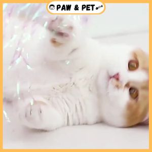 Cat Stick Toy Interactive Feather Chasing with Bells Cat Exercise Toy Mainan Kucing 逗猫棒 猫玩具