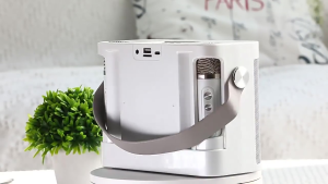 ✨SG【STOCK】Karaoke set portable wireless home KTV with 2 microphones Karaoke Seaker party speaker Bluetooth