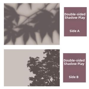 3D Natural Light & Shadow Photography Background