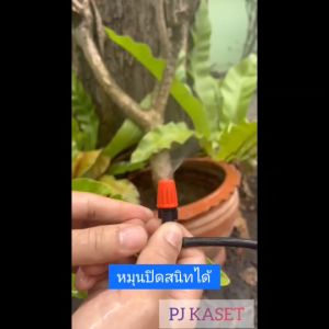 หัวพ่นหมอกแบบปรับละอองน้ําได้ 10 ชิ้นพร้อมข้อต่อสามทาง แถมฟรี 1 ชิ้น (แบบทางเดียว)