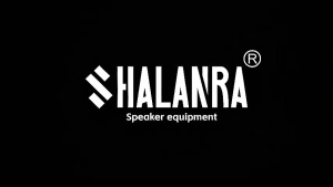 SHALANRA HEM6400 UHF Mono Dual Wireless in-Ear Monitor System Metal Wireless IEM for Band Studio 16 Bodypack