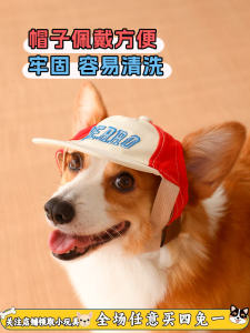 Cute Dog Baseball Cap Teddy Puppy Sunshade Hat Small Medium Size Summer Pet Accessories Duckbill Cap Universal Pet Hat