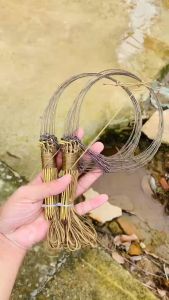 Giò thái bẫy gà chân đồng khoen đúc liền khổi