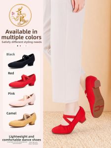 Ladies Lightweight Low Heel Dance Shoes
