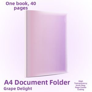 deli | Transparent Page File Organizer A4