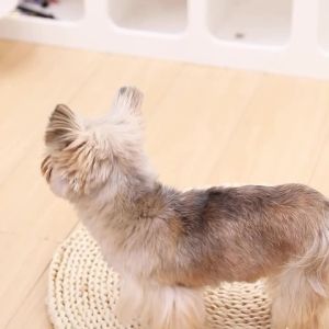 Warm Pet Cat Jacket Coat Winter Windproof Clothes for Small Medium Cats Dogs Cozy Kitten Puppy Vest Outfits with D-ring Sphynx