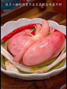 LIANGDIE | Sichuan Pickles Lactic Acid Bacteria Fermentation Powder Anti-Mold