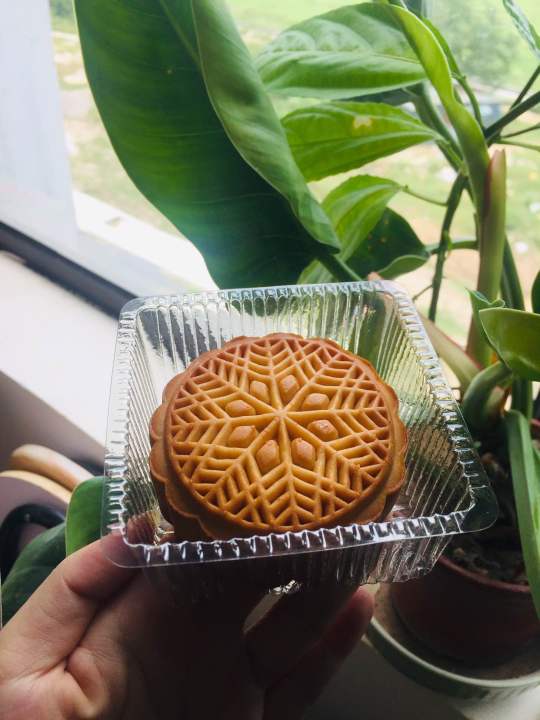 Hộp 2 bánh trung thu Tết Đoàn Viên (truyền thống, hiện đại, lava ...