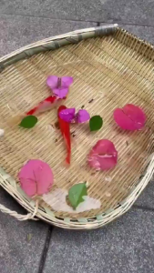 CHỐNG THẤM CHUYÊN DỤNG OKAY 11A ( Chống Thấm Sàn Bê Tông Xi Măng Bảo Vệ Gấp 2 Lần )