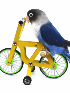 Wooden Bicycle Pet Parrot Toys Fun Interactive Caged Bird Entertainment Toys Parrot Training Supplies Harlequin Lovebird Toys