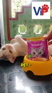 Whiskas Nova Pouch for 1+Years moist cat food adult pouch