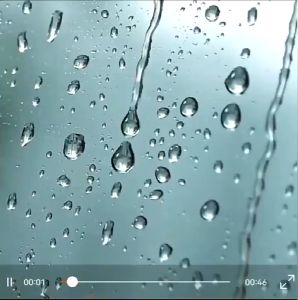 SG Stock 1100mL Home Wired Dehumidifier Air Purifier With Night Light Household Cycle Dehumidifier Moisture Absorption