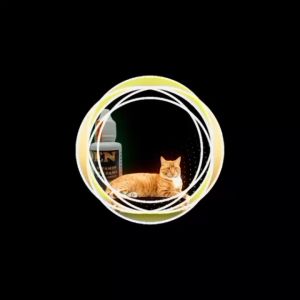 OBAT ANTI HAMIL KUCING JANTAN GOLDEN cair 30ML