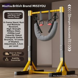 Miss You | Herniated Disc Traction Indoor Home Pull-Up Bar
