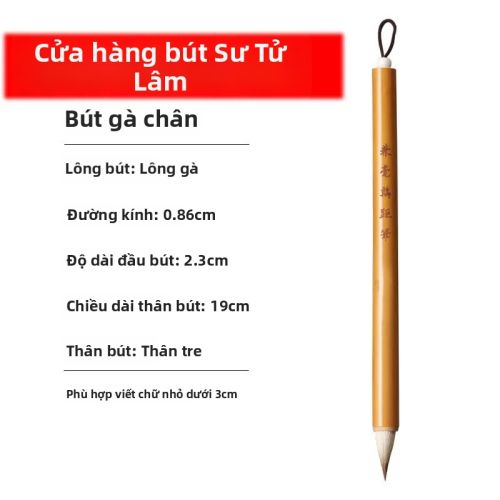 Hướng Dẫn Chọn Bộ Dụng Cụ Thư Pháp Đầy Đủ Cho Người Mới Bắt Đầu