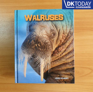 INFOSEARCH LIVING IN THE WILD : WALRUSES BY DKTODAY