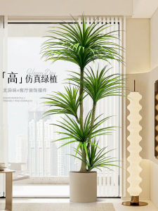 Luxurious Indoor Living Room Large Size Artificial Bonsai Dragon Blood Tree Standing Decoration Faux Plant Potted Ornament