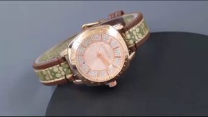 Box Exclusive Jam Tangan Coach Permata VA-942OR / Jam Tangan Fashion Wanita Tali Kulit Diameter 35 cm