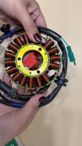 Bajaj Stator Coil Assembly BS6 (FI FACELIFT MAXIMA Z & CARGO) - AA111194