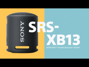 Sony SRS-XB100 Wireless Bluetooth Portable Lightweight Ultra-Compact Travel SpeakerUltra Durable IP67 Water &Dust Resistant16 Hour BatteryMulti-Function Strap Hands-Free Calling