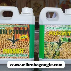 Pupuk Mikroba Google