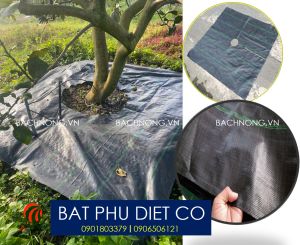Bạt phủ chống cỏ cho vườn khổ 3.2m. Bán theo mét tới  Tặng Kèm ghim. Chất Liệu Bạt Chống Cỏ Việt Nam Ngăn Ngừa Cỏ Mọc Hiệu Quả - Lazada