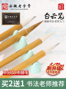 Professional Grade Calligraphy Brushes Set Soft Hair Paint Brushes for Beginners Traditional Chinese Painting And Ink Wash Painting