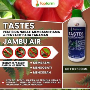 Obat Jambu Air: Penyubur Buah & Pembasmi Hama